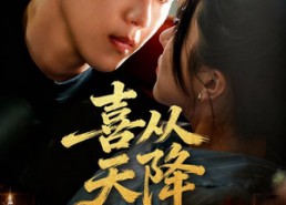 短剧《喜从天降（50集）》免费短剧全集任意看