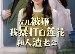 短剧《女儿被砸，我暴打白莲花和人渣老公（30集）》免费短剧全集一键看