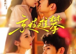 短剧《京枝难攀（80集）》短剧全集免费在线赏阅