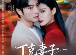 短剧《丁克妻子的秘密（60集）》免费短剧全集流畅播