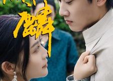 短剧《麒麟（91集）》高清短剧完整版观看