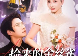 短剧《捡来的金丝雀老公是醋精（129集）》热门短剧在线免费观看