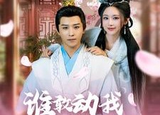 短剧《谁敢动我的王妃（62集）》短剧全集免费高清观看