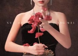 短剧《血色蔷薇（33集）》免费短剧全集畅快看