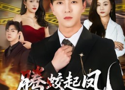 短剧《腾蛟起凤（79集）》高清短剧全集免费观看