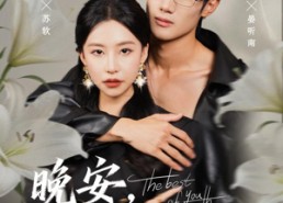 短剧《晚安，戒不掉的你（68集）》爆款短剧免费畅看全集