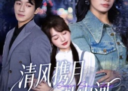 短剧《清风携月赴山河（75集）》超清短剧全集免费看