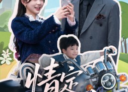 短剧《情定一生（55集）》超火短剧在线免费追完