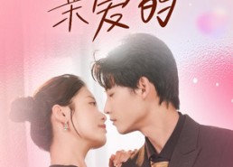 短剧《你好亲爱的（52集）》短剧全集免费在线享看