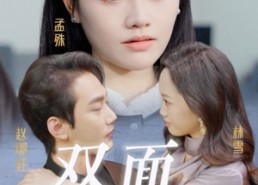 短剧《丈夫的双面人生（30集）》短剧免费完整版直看