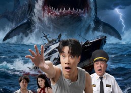 短剧《海岛风波（50集）》短剧完整版免费观看