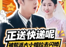 短剧《正送快递呢，被帮派大小姐拉去闪婚（60集）》短剧全集畅享在线播