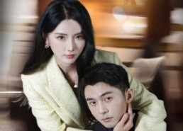 短剧《替我出道吧老板（56集）》免费短剧完整版观看