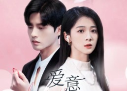 短剧《爱意成碑（30集）》短剧完整版免费在线赏