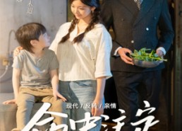 短剧《命中注定缘归来（63集）》精彩短剧免费在线追