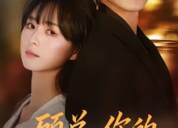 短剧《顾总，你的小孕妻又跑了（47集）》热门短剧全集免费播