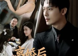 短剧《离婚后我靠系统揽万物（80集）》短剧全集在线免费追