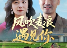 短剧《风吹麦浪遇见你（60集）》短剧免费全集精彩呈现