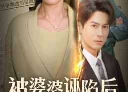 短剧《被婆婆诬陷后我杀疯了（30集）》热门短剧免费在线享