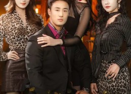 短剧《入莞投奔姐姐后，我靠贴贴横扫一切（80集）》短剧完整免费在线播