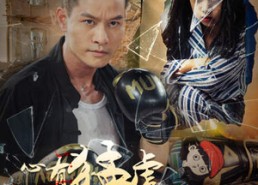 短剧《心有猛虎细嗅蔷薇（65集）》免费短剧全集畅快追看