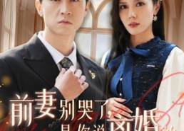 短剧《前妻别哭了，是你说离婚的（42集）》热门短剧全集免费追看