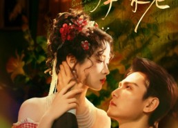 短剧《烽火红颜拳未老（53集）》热门短剧免费全集追剧