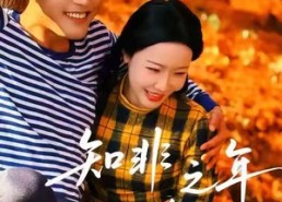 短剧《知非之年又逢君（62集）》精品短剧免费观看无广告