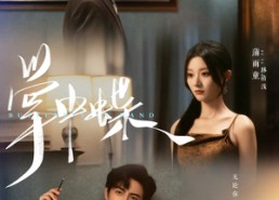 短剧《掌中蝶（84集）》免费短剧完整版在线赏