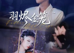 短剧《羽烬金笼（74集）》短剧高清全集在线播