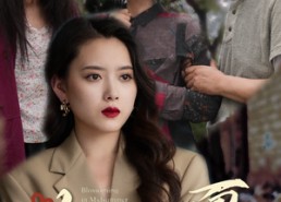 短剧《花开盛夏（64集）》免费短剧高清全集速看