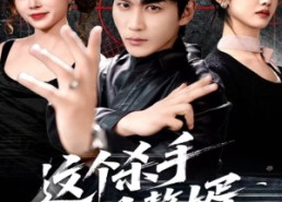 短剧《这个杀手是赘婿（81集）》短剧全集高清在线畅享