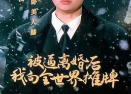 短剧《医者为王被迫离婚后我向全世界摊牌（98集）》超火短剧完整在线播放