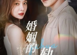 短剧《婚姻的轨道（32集）》爆款短剧在线完整欣赏