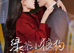 短剧《绿茶小狼狗诱我情深（101集）》热门短剧高清在线追看