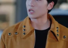 短剧《三位少爷别追了，我只想当保洁（60集）》爆款短剧高清在线播放