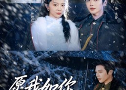 短剧《愿我如你，铮铮不折（63集）》短剧全集在线免费欣赏