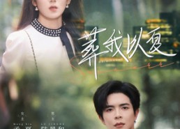 短剧《葬我以夏（73集）》短剧全集在线高清赏阅