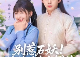 短剧《别惹石妖！娘娘是来和解的（60集）》精彩短剧在线全集追看