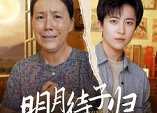 短剧《明月待子归（80集）》短剧免费观看无广告