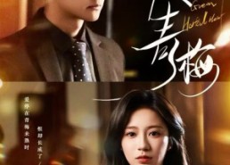 短剧《爱止青梅（60集）》短剧全集免费在线速览