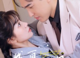 短剧《盛夏不如她迷人（80集）》高清短剧在线免费享