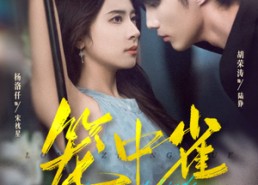 短剧《笼中雀（65集）》短剧免费全集畅快追剧