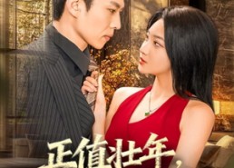 短剧《正值壮年，归来一笑为红颜（75集）》短剧超长集数免费畅享