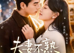 短剧《夫妻不熟，日子照过（80集）》超火短剧全集在线观赏