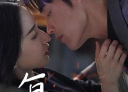 短剧《复燃（68集）》免费短剧全集一键看