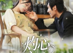 短剧《灼心之爱（69集）》短剧高清免费全集享