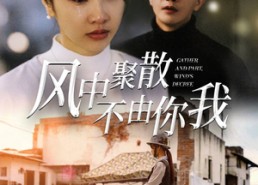 短剧《风中聚散不由你我（41集）》免费短剧全集高清观看