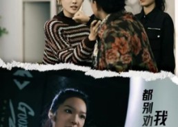 短剧《都别劝我了，我忍够了（31集）》优质短剧免费畅享全集