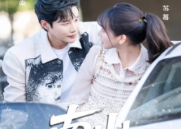 短剧《南山可采莓（66集）》免费短剧全集任你观